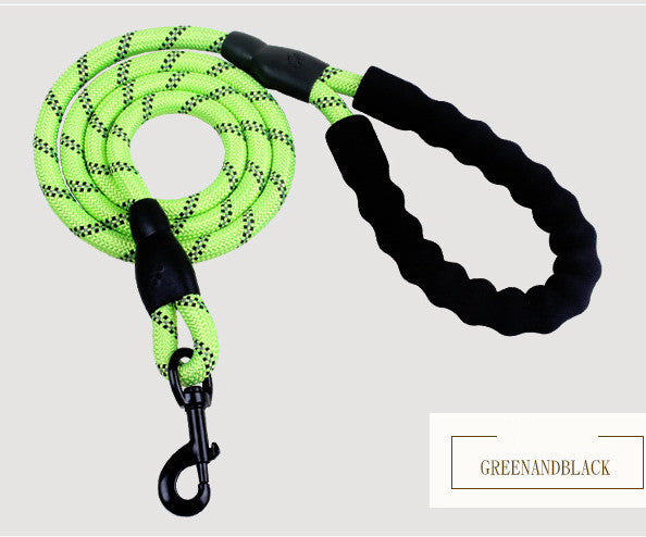 Robuuste honden riem of honden riem + auto riem