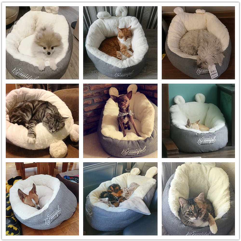 honden/katten bed