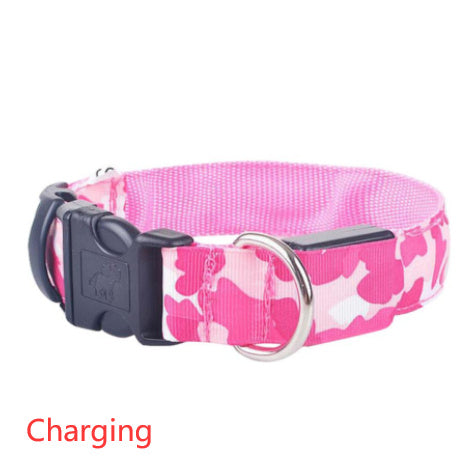 Licht gevende honden halsband