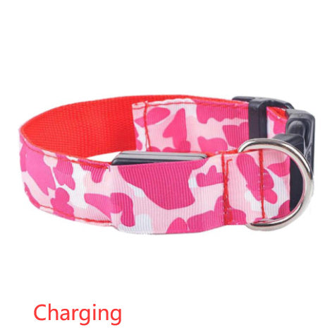 Licht gevende honden halsband