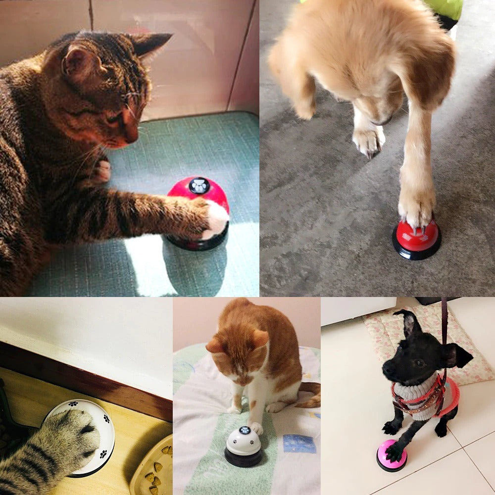 dieren training bel