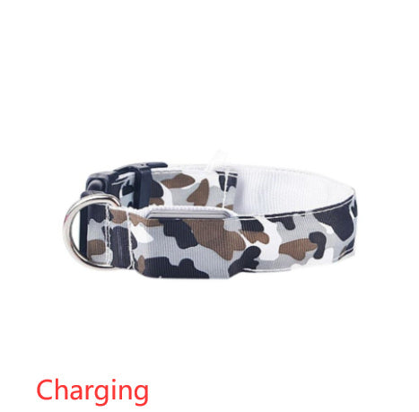 Licht gevende honden halsband