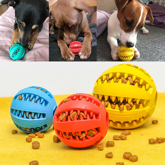 leuk kouwe speeltje voor honden