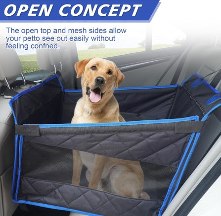 Auto honden mand