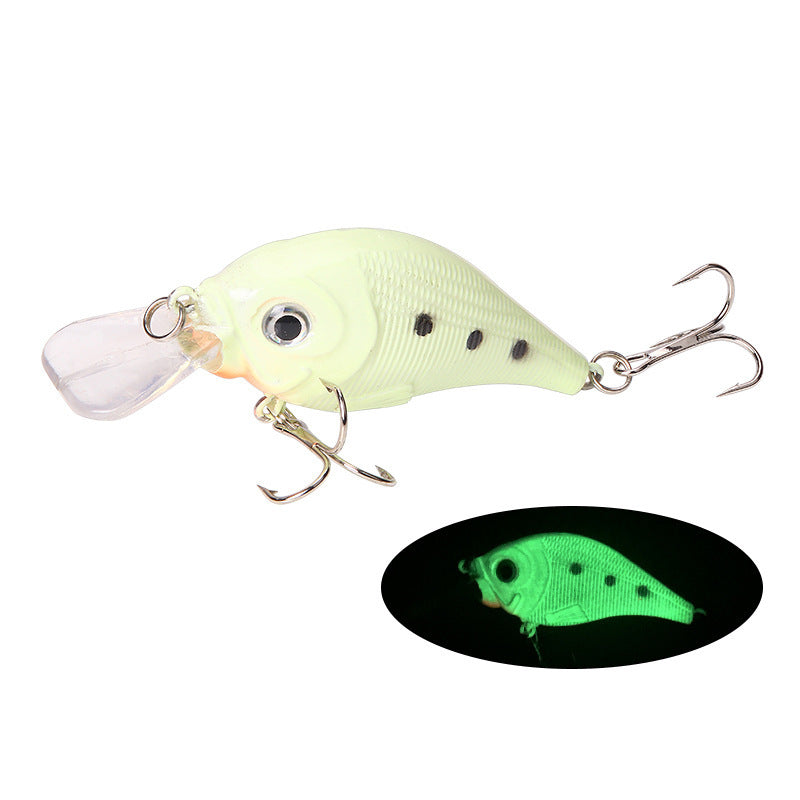 glow in the dark vis pluggen