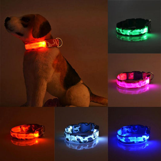 Licht gevende honden halsband
