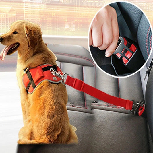 Honden auto gordel