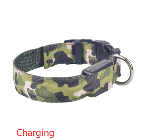 Licht gevende honden halsband