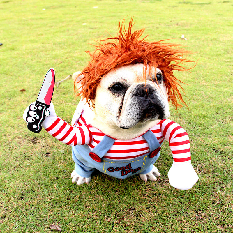 Halloween kostuum hond
