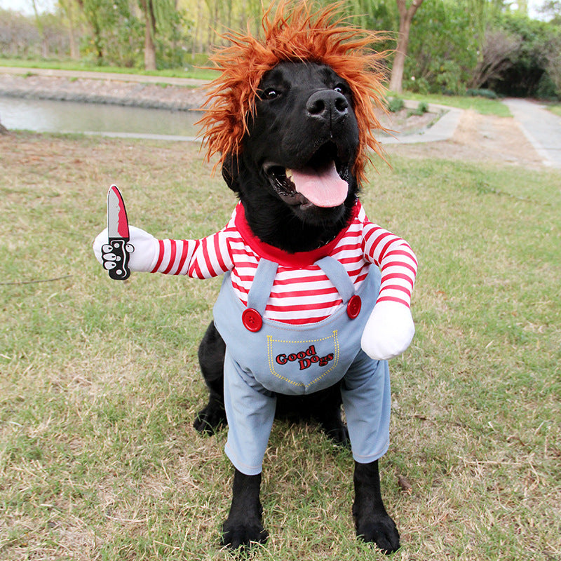 Halloween kostuum hond
