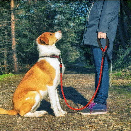 Robuuste honden riem of honden riem + auto riem