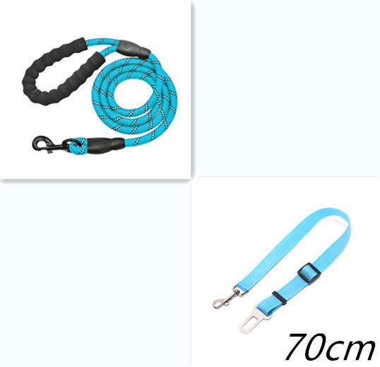 Robuuste honden riem of honden riem + auto riem