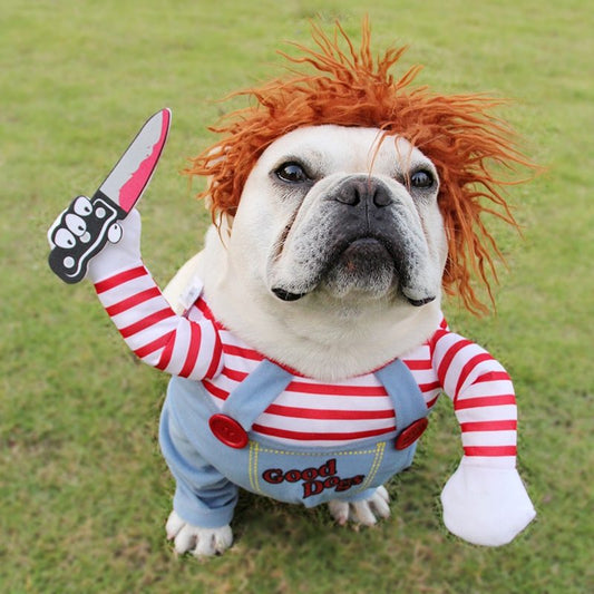 Halloween kostuum hond