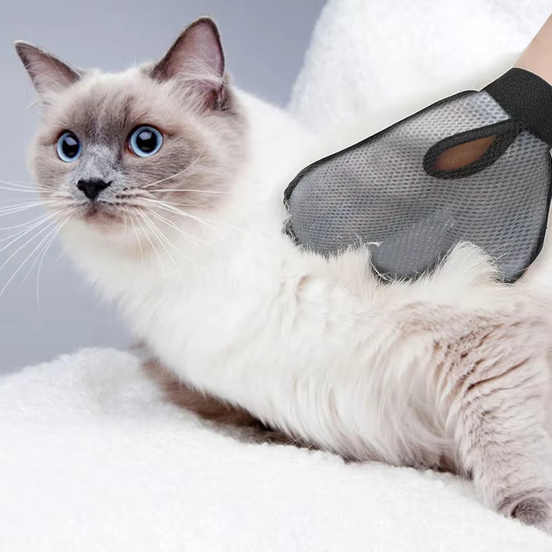 Handschoen borstel voor hond & kat