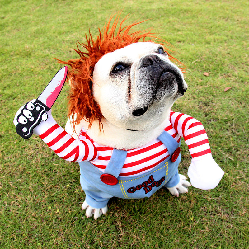 Halloween kostuum hond