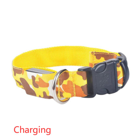 Licht gevende honden halsband