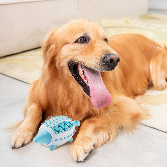 Dieren speeltje EGEL  voor hond