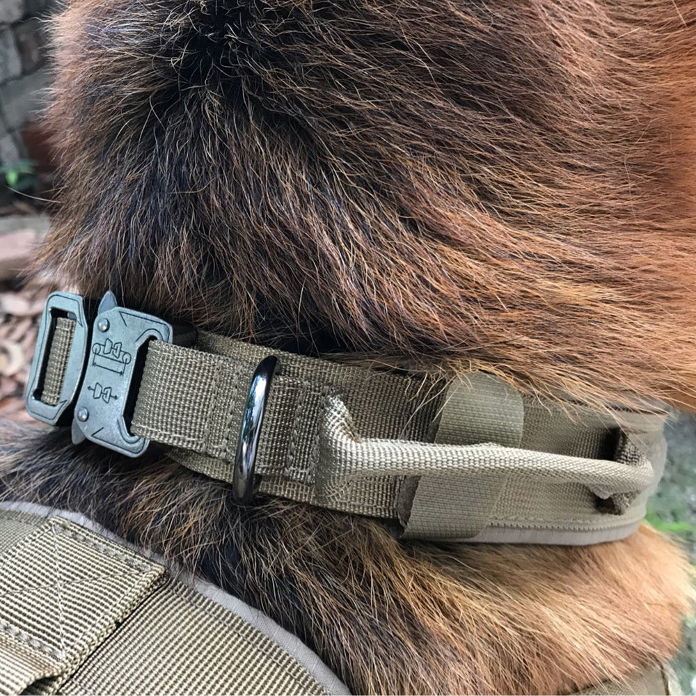 robuuste honden halsband