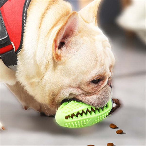 kauw speeltje voor honden