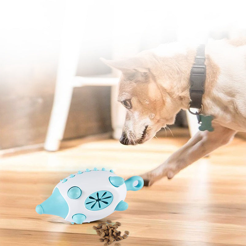 Dieren speeltje EGEL  voor hond
