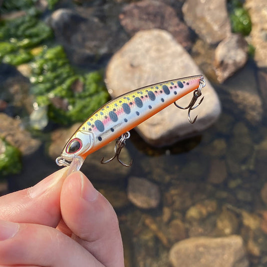 Streamer kunst  Aas Snel Zinkend 6,3 cm