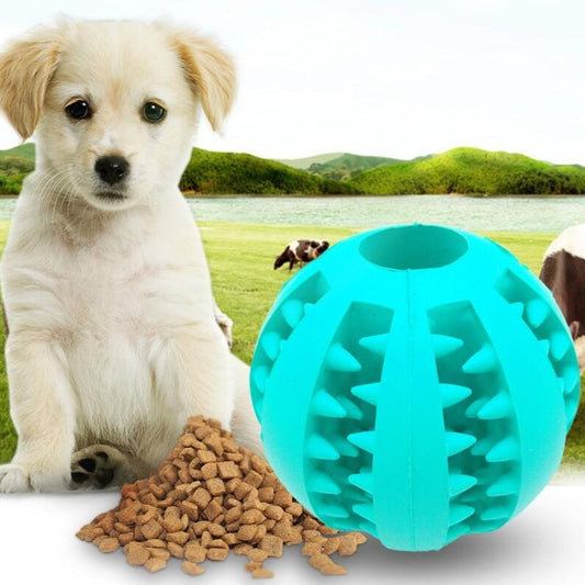 leuk kouwe speeltje voor honden