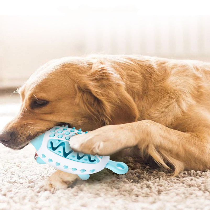 Dieren speeltje EGEL  voor hond