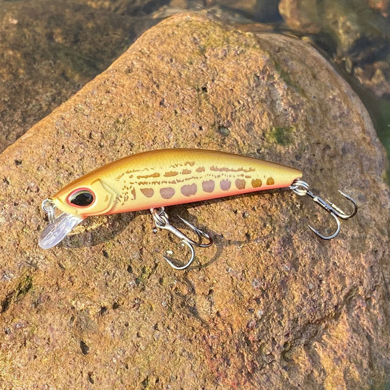 Streamer kunst  Aas Snel Zinkend 6,3 cm